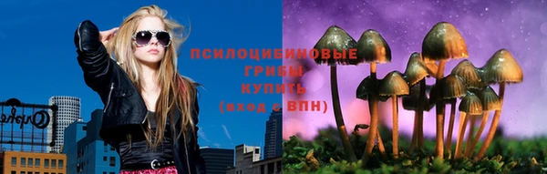 дурь Новозыбков