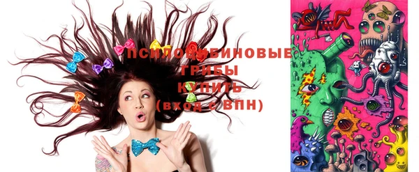 дурь Новозыбков