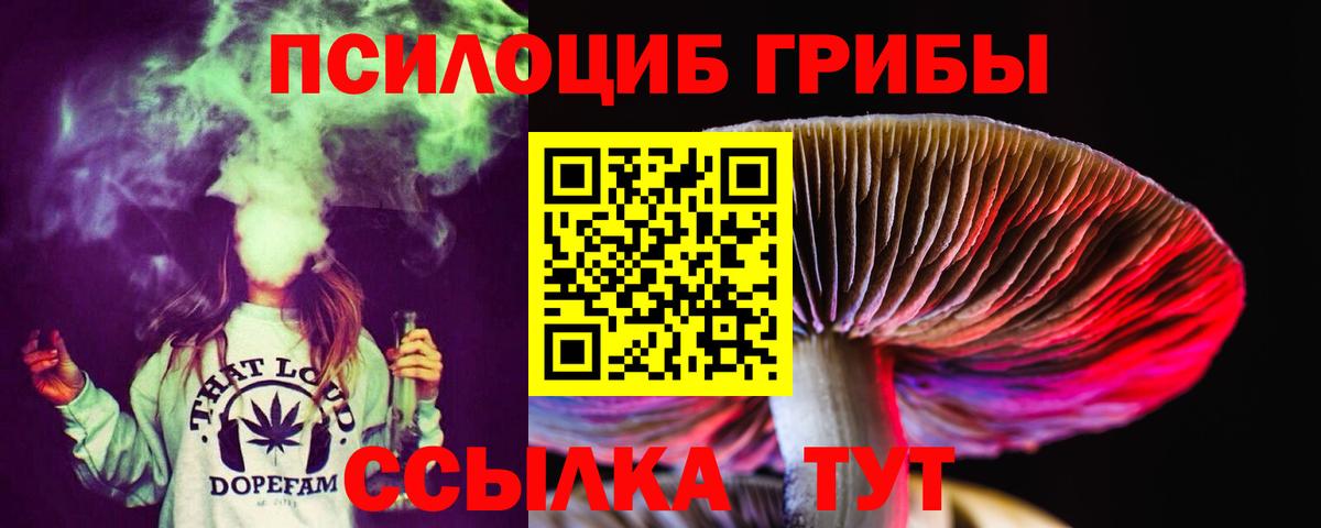 Галлюциногенные грибы прущие грибы Ртищево