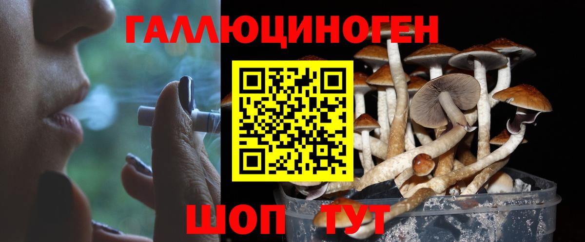 Псилоцибиновые грибы Psilocybe  что такое   Ртищево  Вход с VPN 